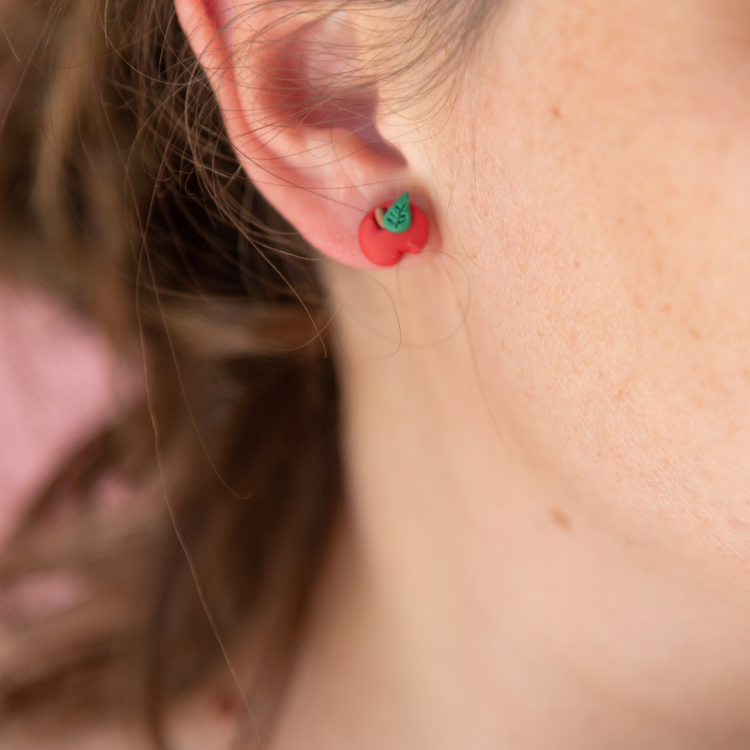 surgical steel earrings